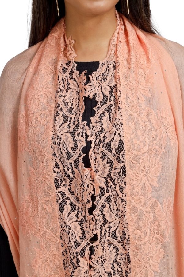 Four Side Border with Hibiscus Lace & Swarovski work - Image 4