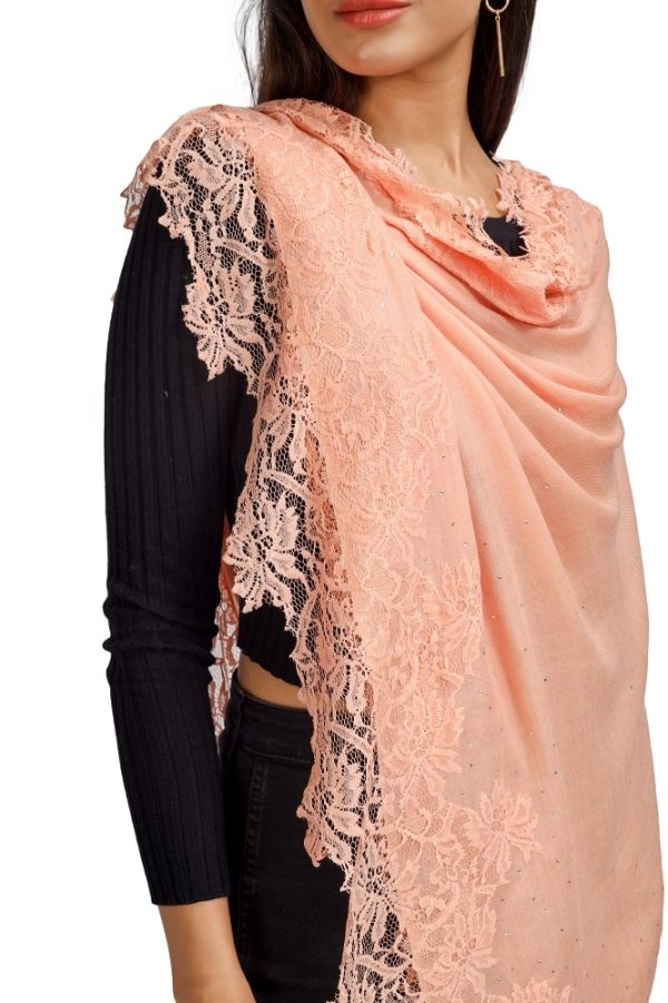 Four Side Border with Hibiscus Lace & Swarovski work - Image 6
