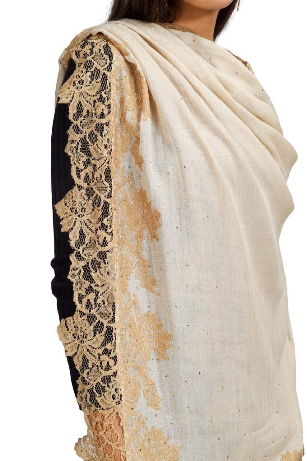 Four Side Border with Hibiscus Lace & Swarovski work - Image 6