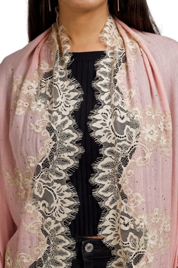 Four Side Scalping Border with Chantilly Lace  & Swarovski Work - Image 3